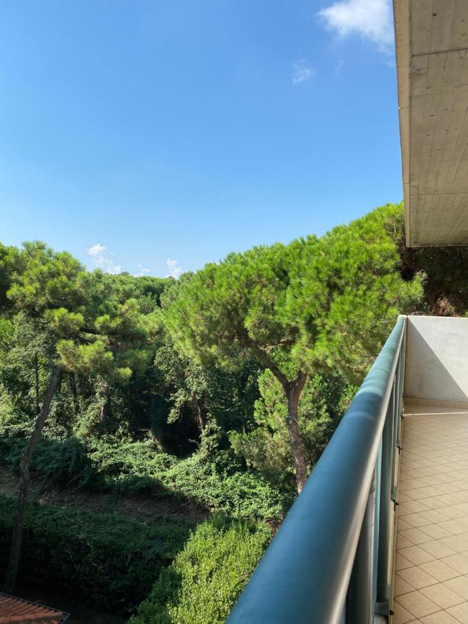 Residence Pineta Verde ミラノ・マリッティマ エクステリア 写真